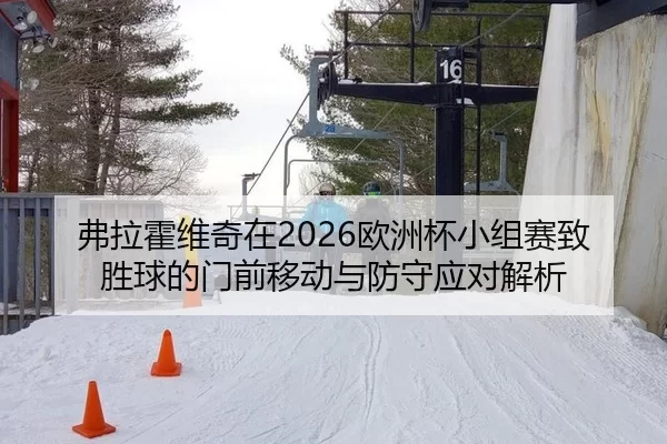 弗拉霍维奇在2026欧洲杯小组赛致胜球的门前移动与防守应对解析