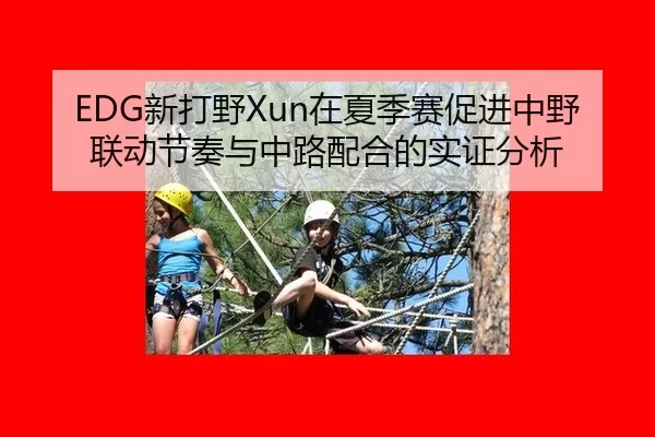 EDG新打野Xun在夏季赛促进中野联动节奏与中路配合的实证分析