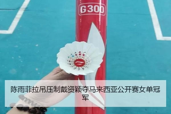 chen-yu-fei-la-diao-ya-zhi-dai-zi-ying-duo-ma-lai-xi-ya-gong-kai-sai-nv-dan-guan-jun-2-129.jpg