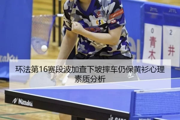 huan-fa-di-sai-duan-bo-jia-cha-xia-po-shuai-che-reng-bao-huang-shan-xin-li-su-zhi-fen-xi-3-497.jpg